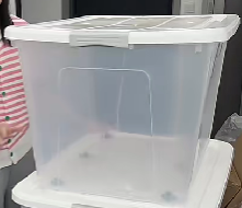 85.png